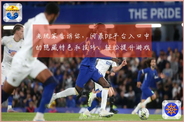 老玩家告诉你，问鼎pg平台入口中的隐藏特色和技巧，轻松提升游戏体验