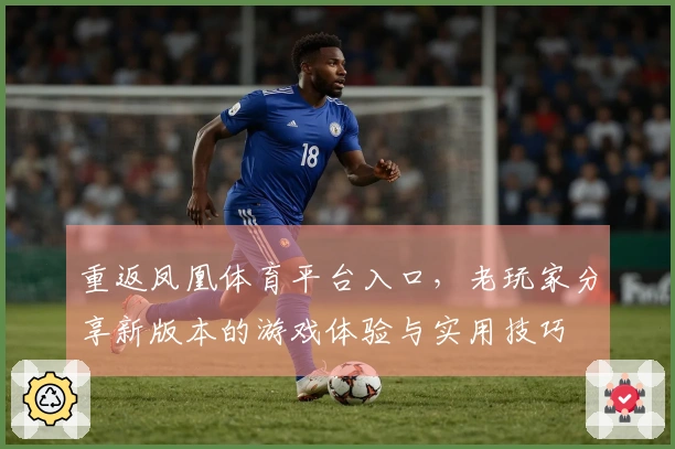 重返凤凰体育平台入口，老玩家分享新版本的游戏体验与实用技巧